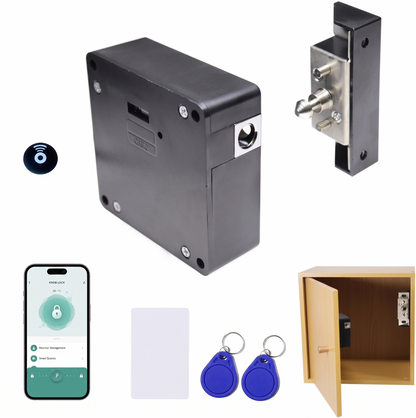 Smart Invisible Lock